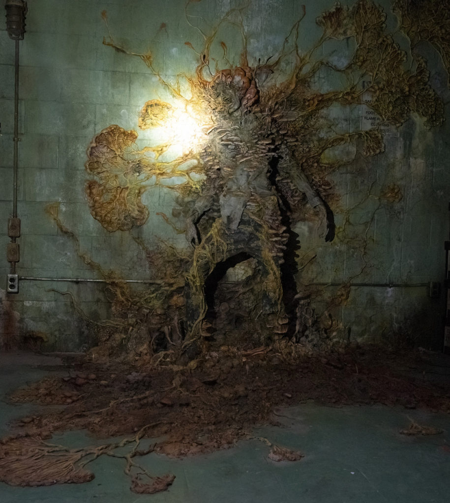 Infected person stuck to the wall and completely transformed by Cordyceps fungus.