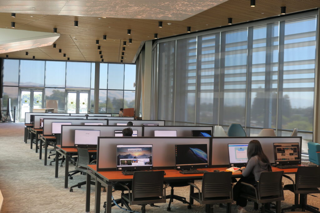 Students studying in a computer lab